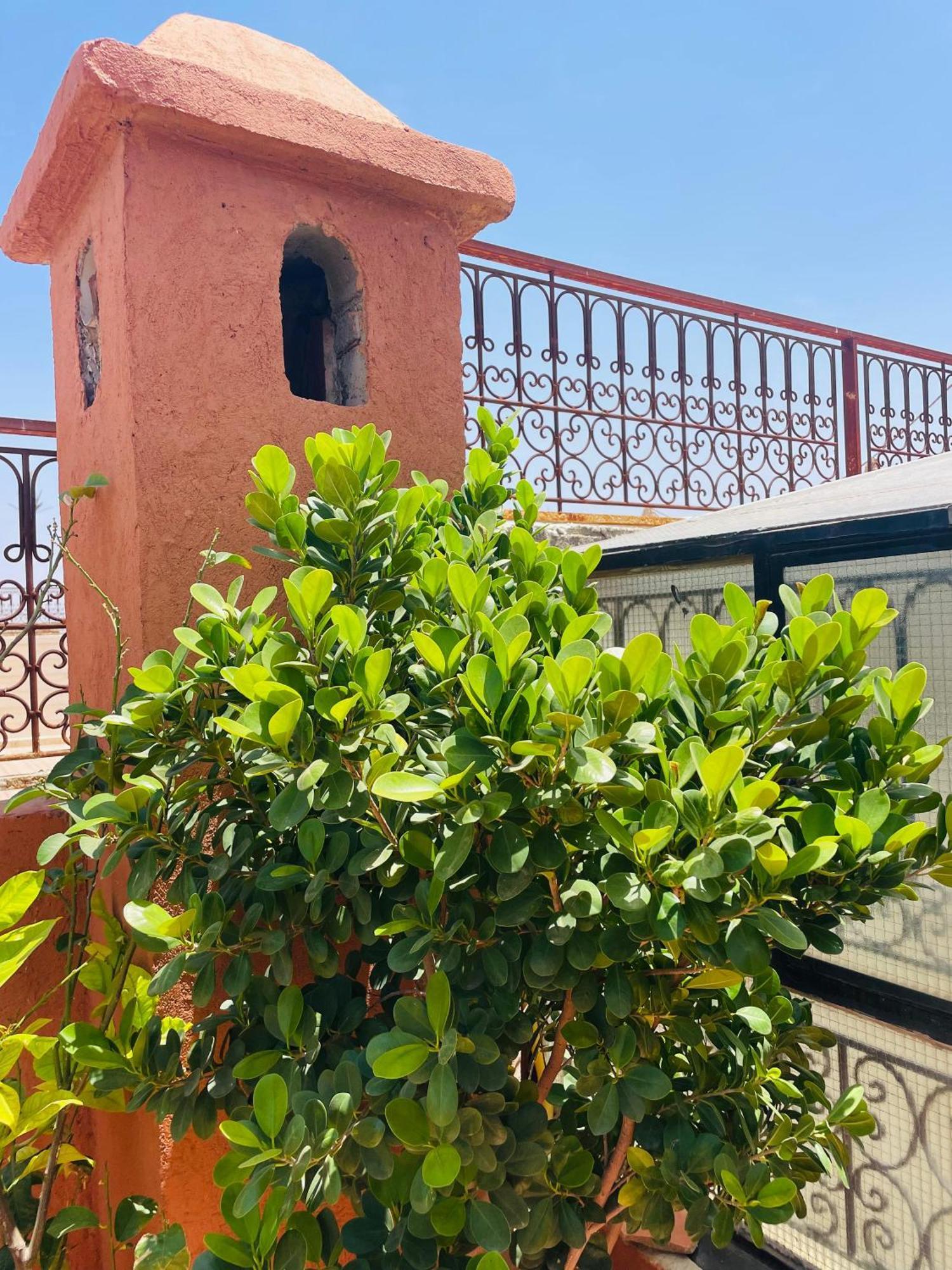 Riad Ms Holidays Terrasse Privatise Marrakech Marrakesh Eksteriør bilde
